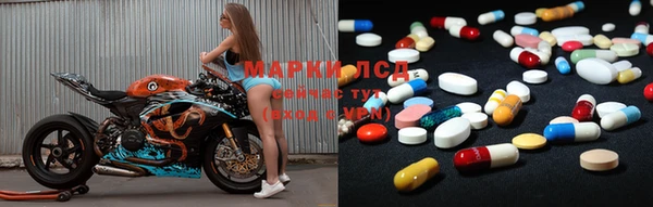 индика Верея