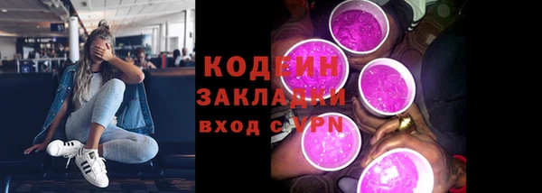 индика Верея