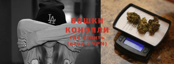 индика Верея