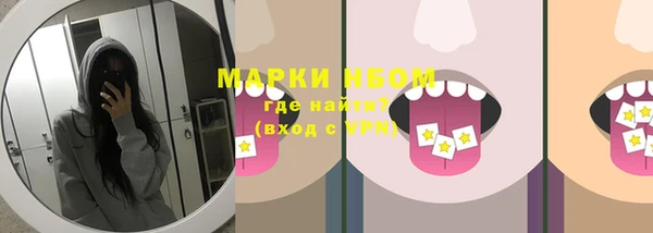 индика Верея