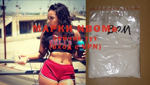 индика Верея