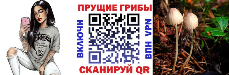 Псилоцибиновые грибы мицелий  hydra ТОР  Ангарск 